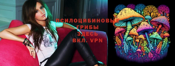 соль ск Нея