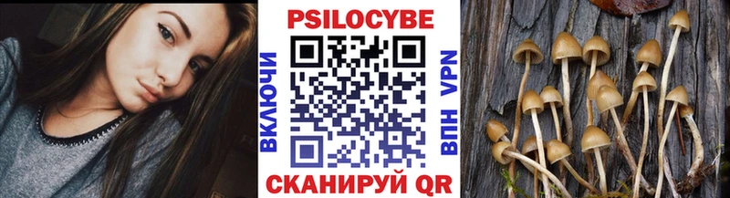 Псилоцибиновые грибы Psilocybine cubensis Полярный